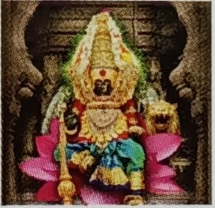 Shrimahalaxmi Old Age Home Logo